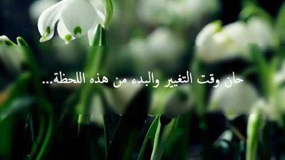 ضيف ضيف