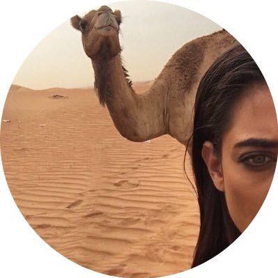 ضيف ضيف