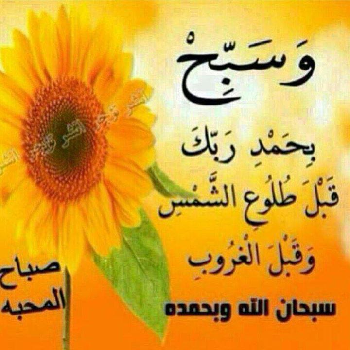 أبوانس أبوانس