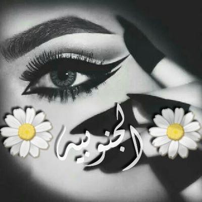 ضيف ضيف