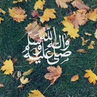 ضيف ضيف