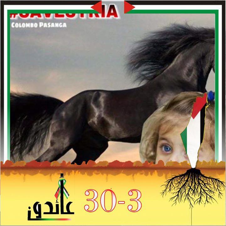 ضيف ضيف