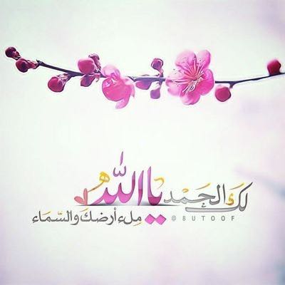 ضيف ضيف