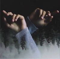 ضيف ضيف