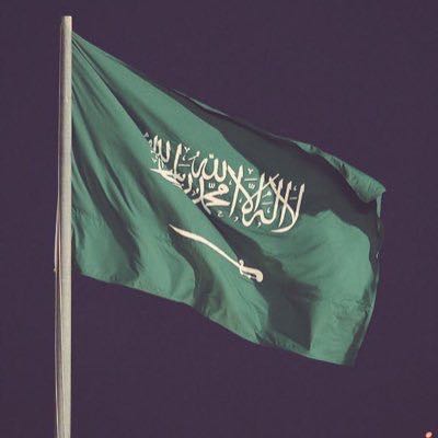 ضيف ضيف