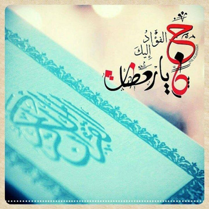ضيف ضيف