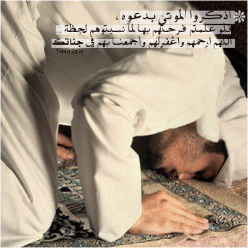 ضيف ضيف
