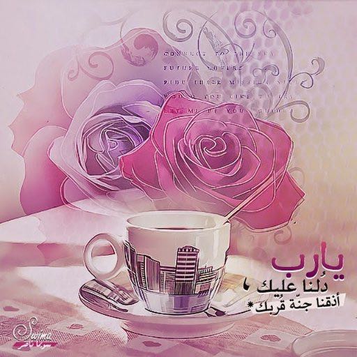 ضيف ضيف