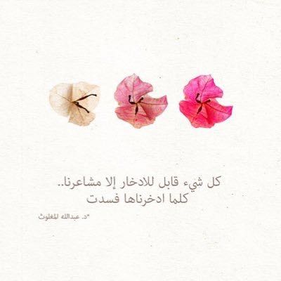 ضيف ضيف
