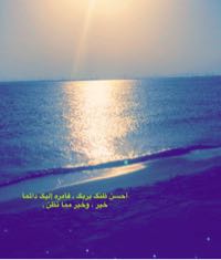 ضيف ضيف