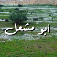 abomesh3al abomesh3al