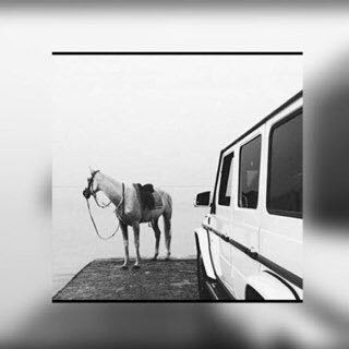 ضيف ضيف