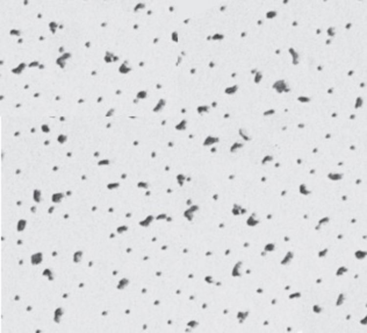 7 8 In X 2 Ft X 2 Ft Usg Radar High Nrc High Cac Fineline Bevel