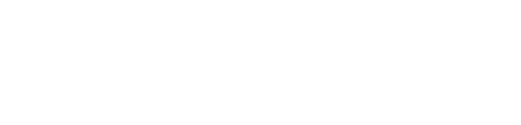 Experience Logo