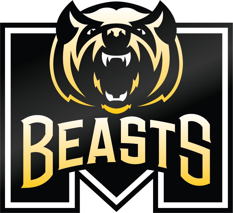 Mount Laurel Flag Football Page Teams