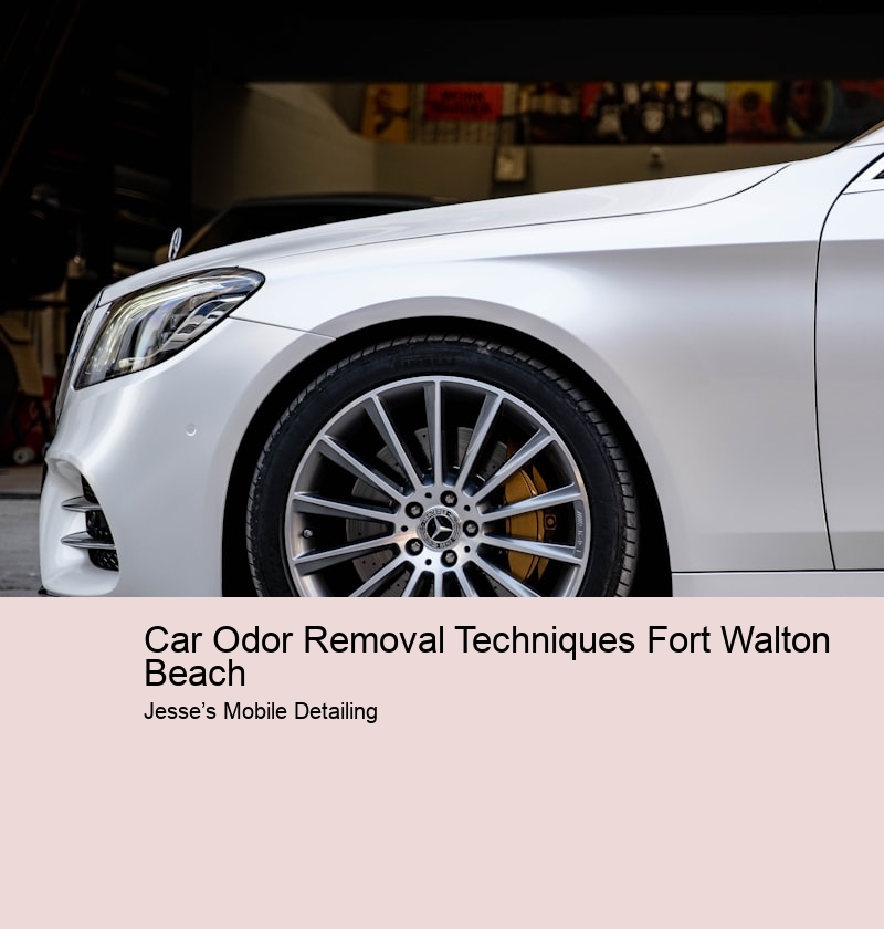 Car Odor Removal Techniques Fort Walton Beach