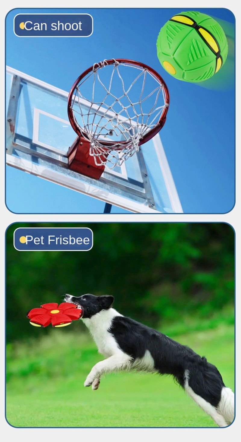 Dog Toys Flying UFO Saucer Ball Interactive Outdoor Sports Training Games Magic Deformation Flat Throw Disc Ball Pet Supplies