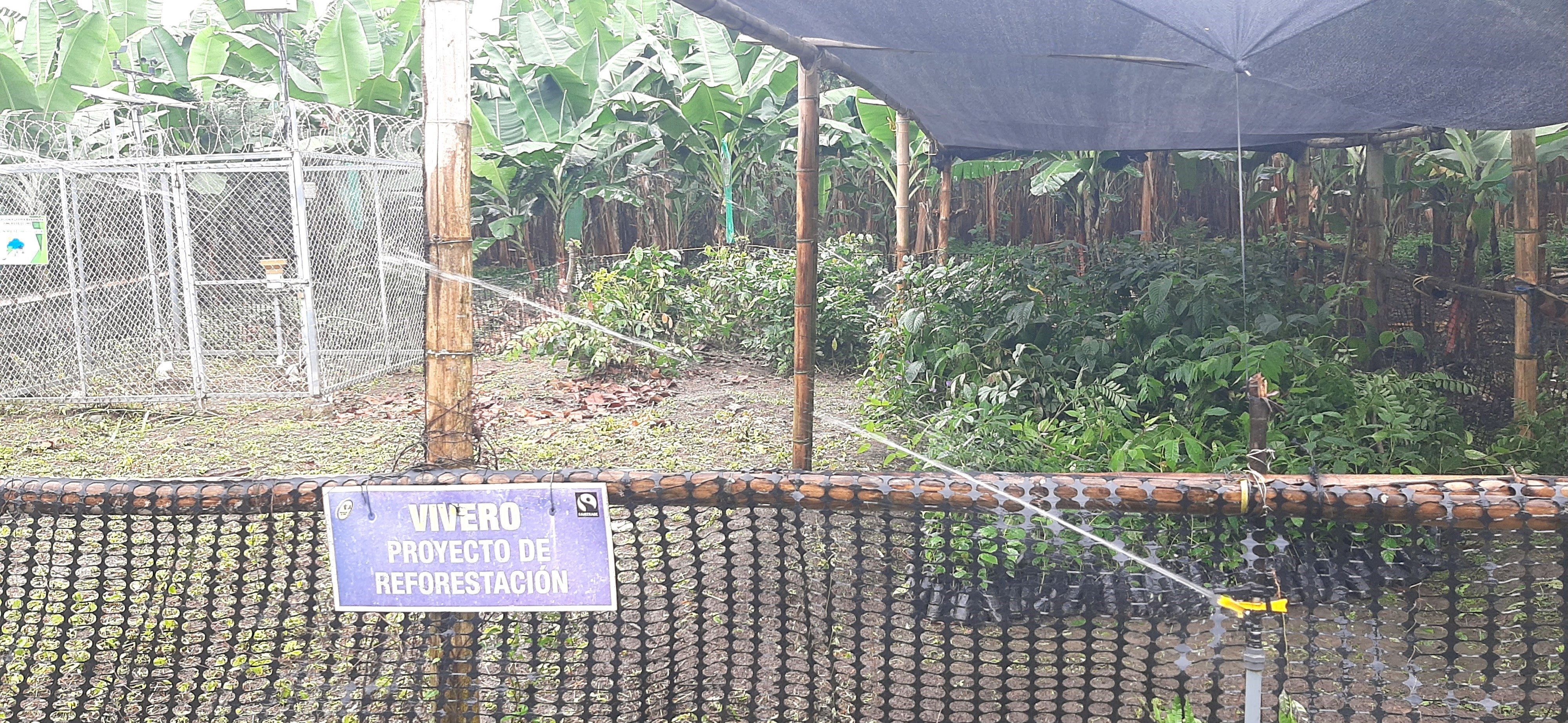 Biodiversidad y Conservación