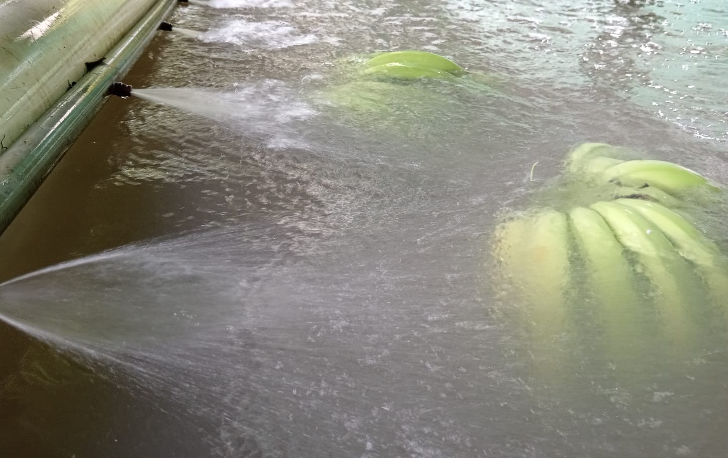 Reduciendo la huella hídrica.