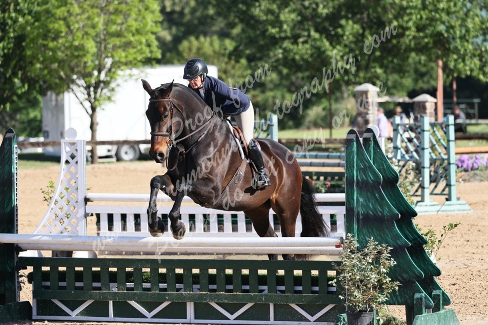 Texas Shoot Out Horse Show Galleries 2022 HORSE SHOWS Jerry Mohme