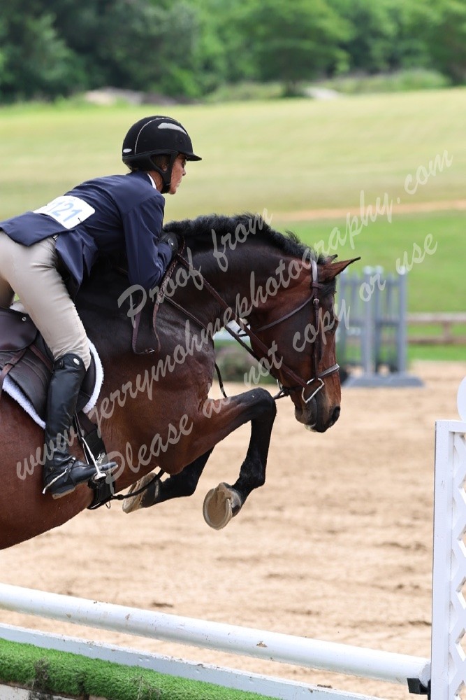 Texas Shoot Out Horse Show Galleries 2024 Horse Shows Jerry Mohme