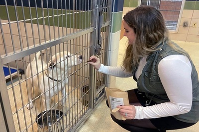 Medium 272898270 4734605716617032 1257362910278496727 n