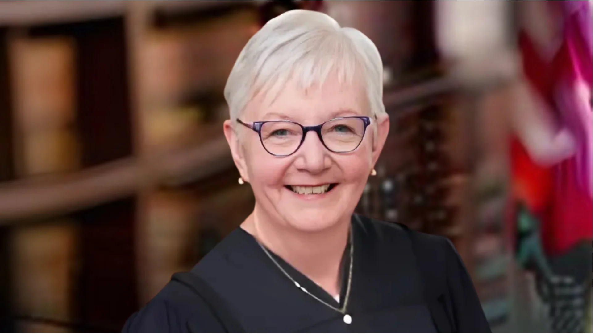 Illinois Supreme Court appoints Judge Michael Cabonargi to Ninth Subcircuit of Cook County
