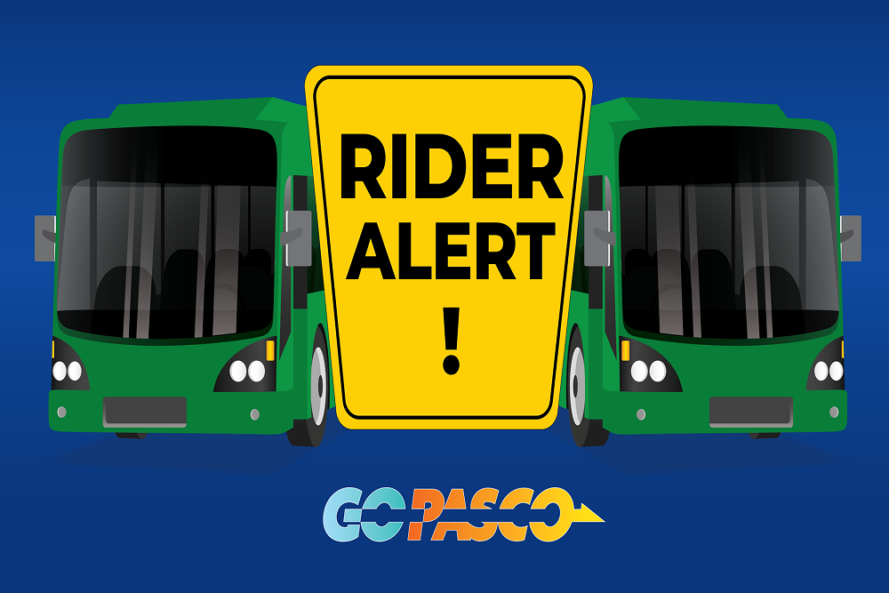 239263062 1763347817205910 4287623469500661825 n