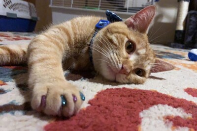 Medium 279353178 4984514128292855 759347429020003887 n