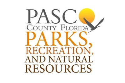 Medium 278000080 299784948996575 2842572046534714384 n