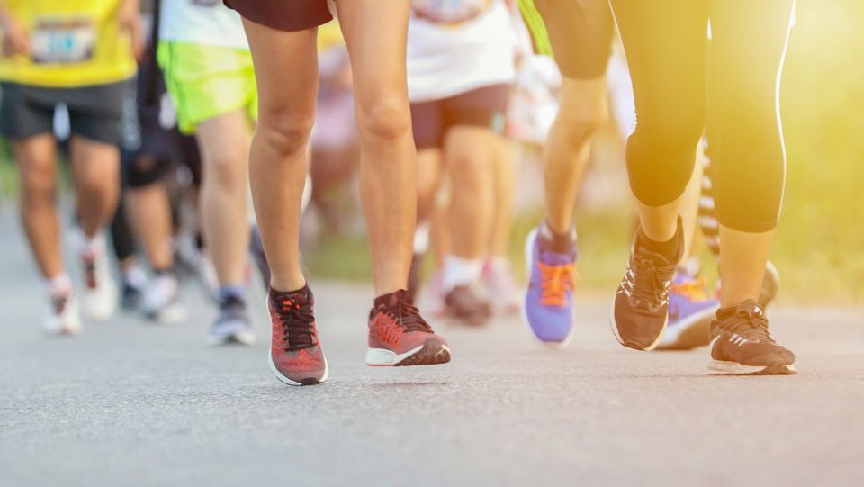 334065433 4193421374216188 8057273542306412298 n