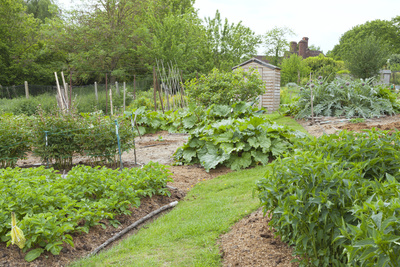 Medium gardenfencing