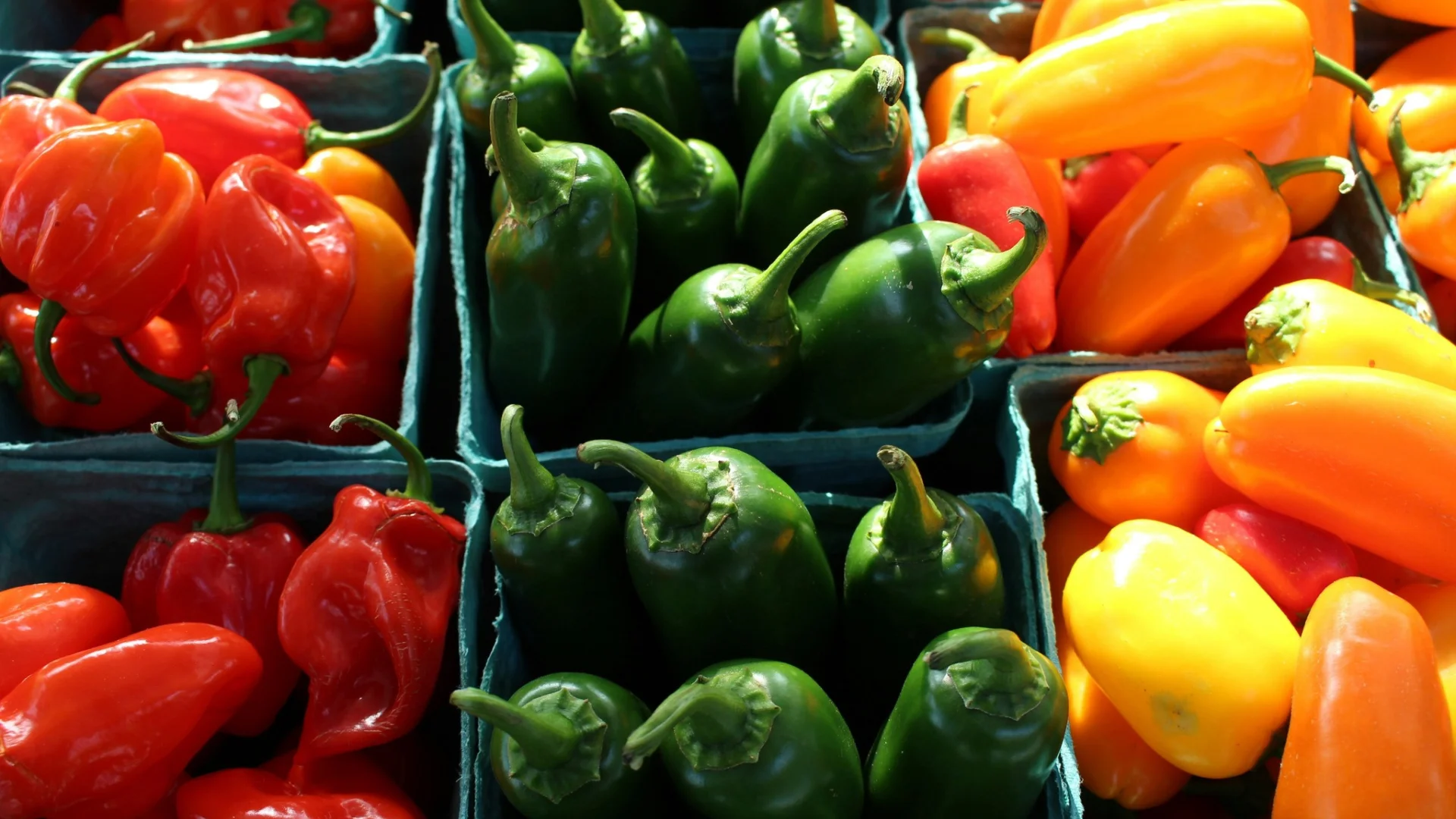 New Hampshire farm stands sought for produce pricing project