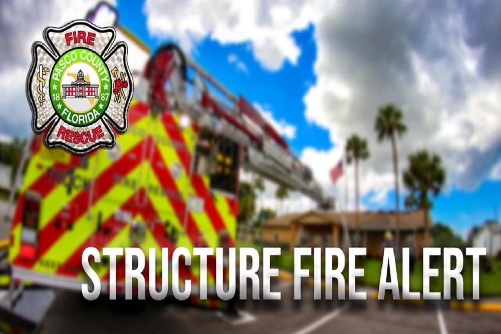 258746098 185201613803179 7009719838910260924 n