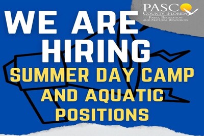 Medium 279666437 4964686120311907 9000929099684265843 n