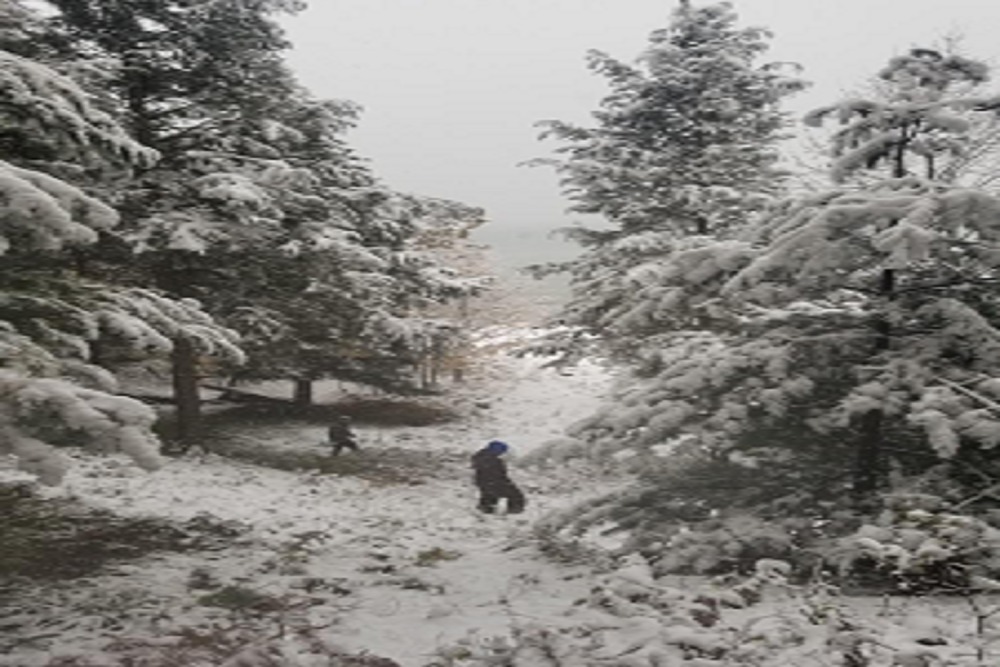 Snow