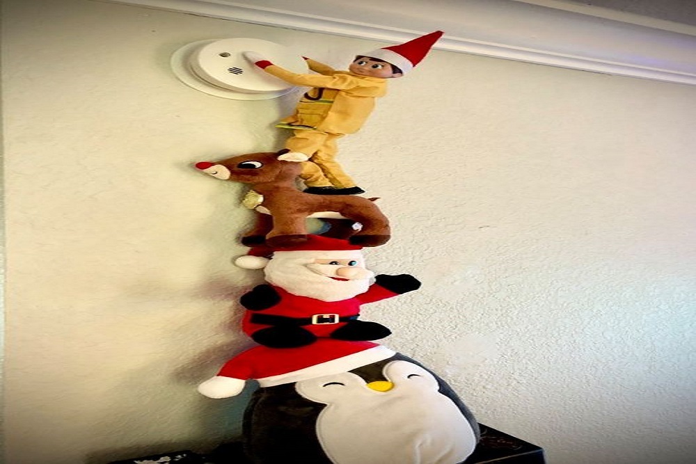 269562598 203890878600919 7213458127947976809 n