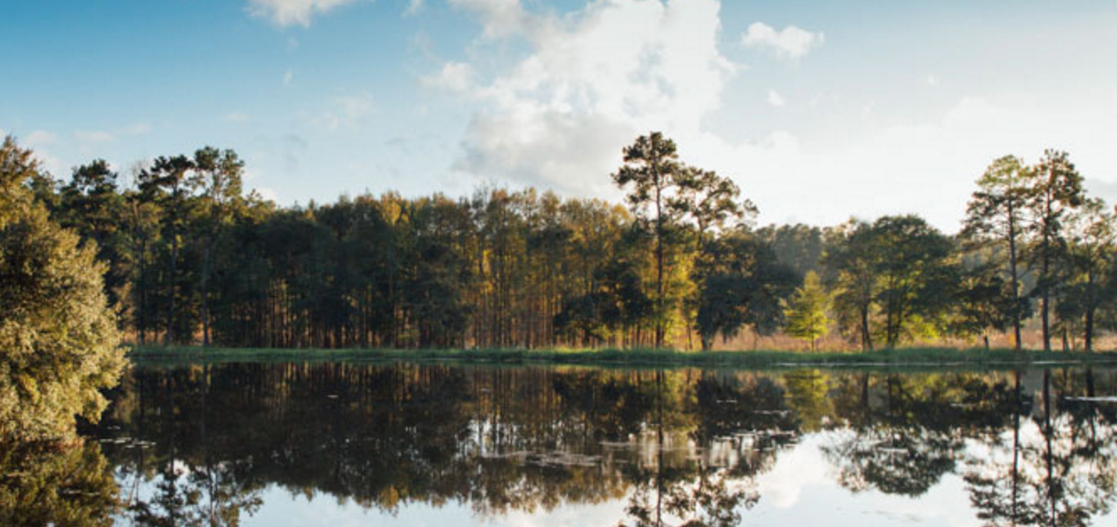 WestRock sets template for businessdriven land preservation efforts in