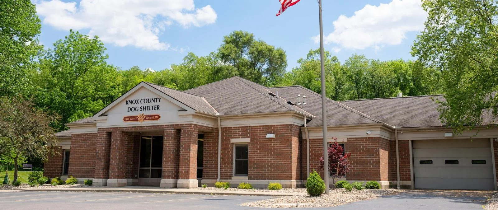 Webp knoxcountydogshelter