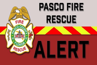 Medium 273762474 238526338470706 920143271708160927 n