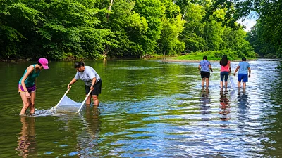 Medium river