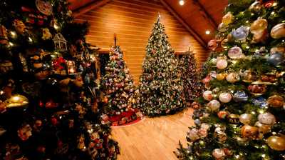 Medium tree