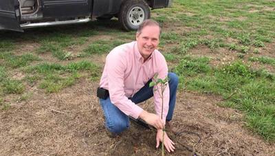 Medium wiltonsimpson800