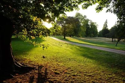 Medium park 07
