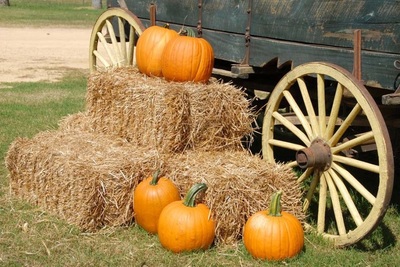 Medium fallfestival