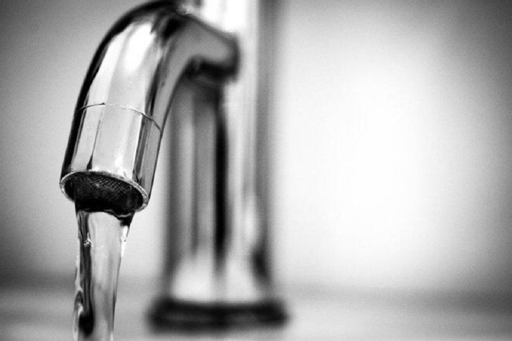 265736074 219782990330105 8249781025036156630 n