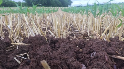 Medium healthysoil
