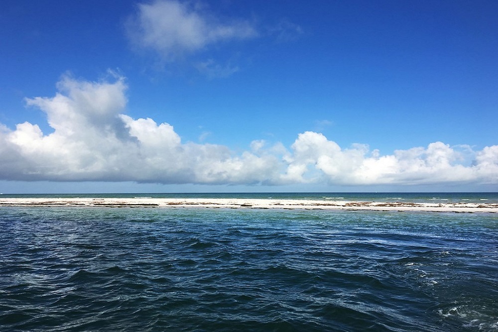 238482187 4157170704320365 1175802760526840208 n