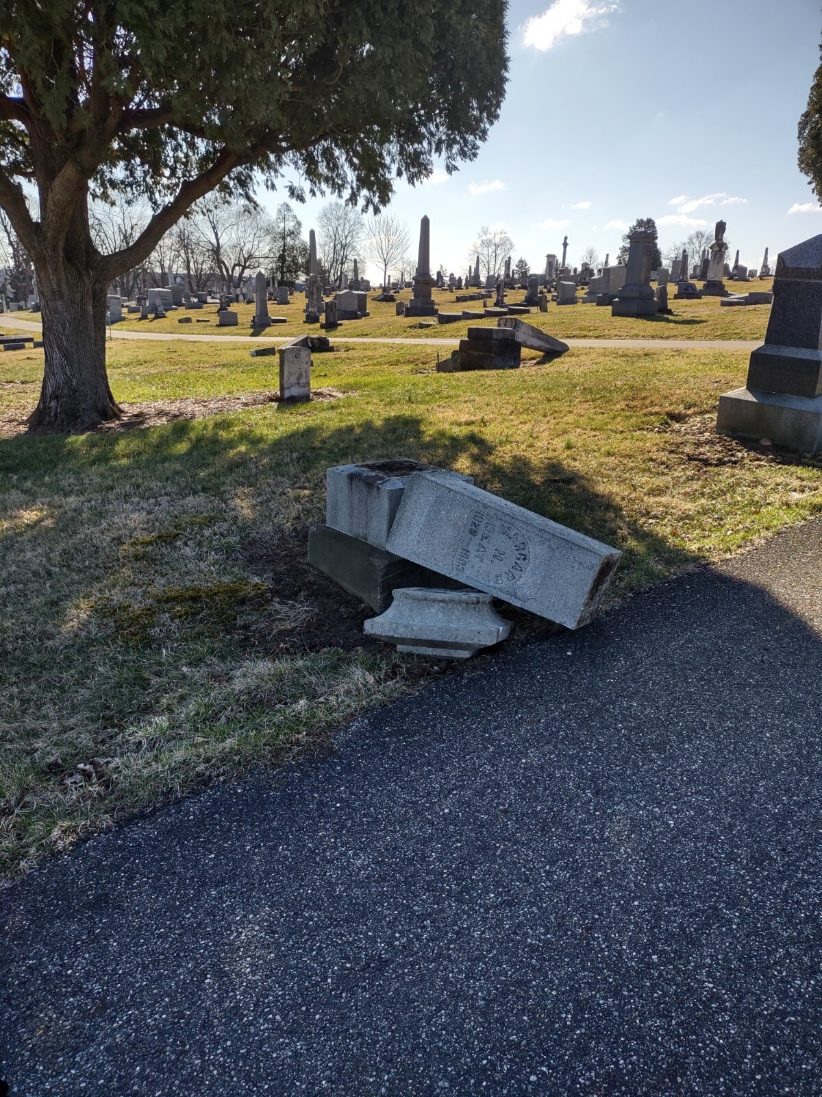 Img 20230307 094125046 hdr