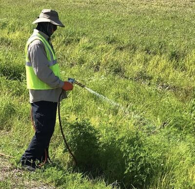 Medium 326918767 2134072670136876 1182067548245173810 n